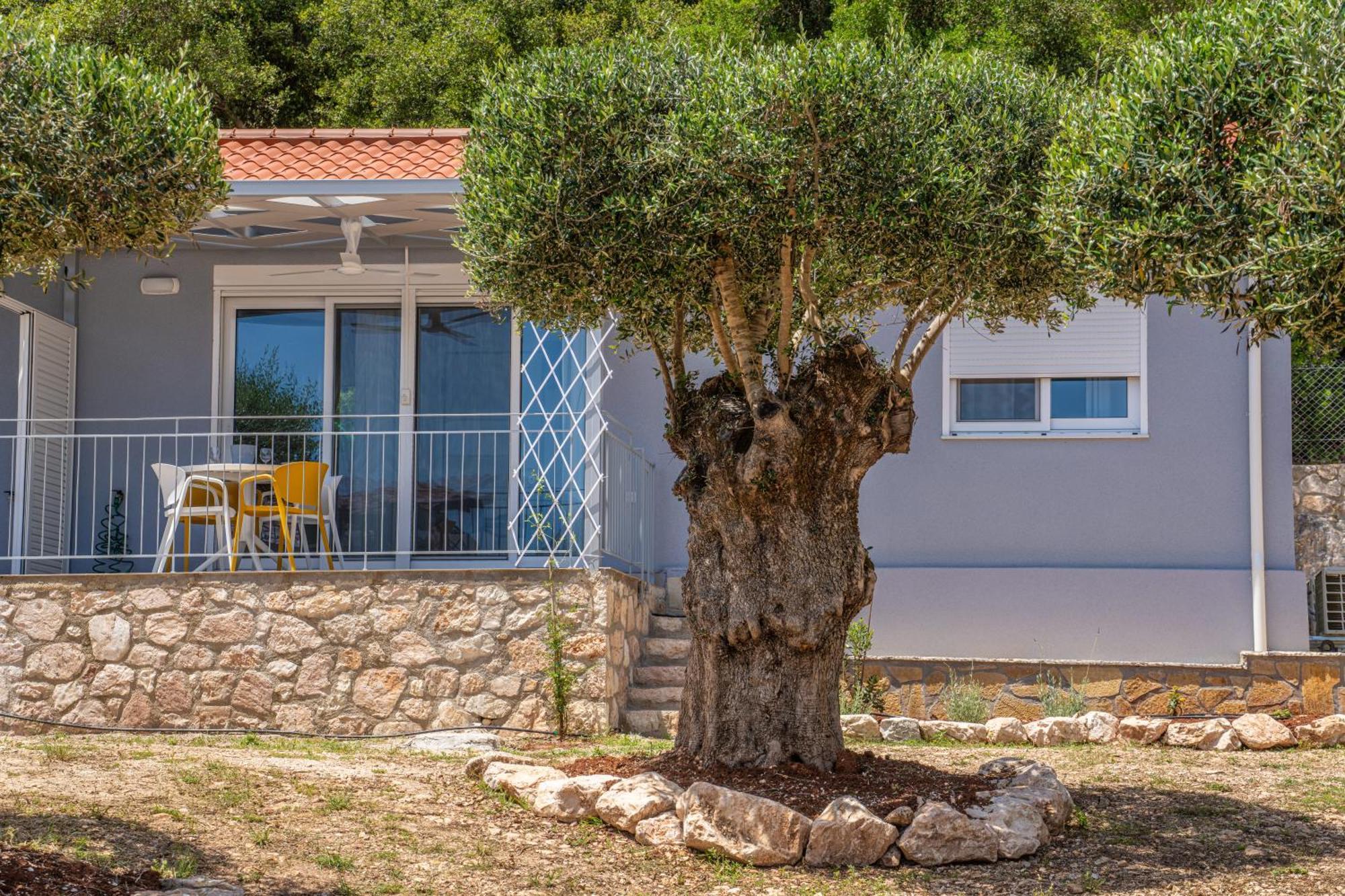 Foki Beach House Фискардон Экстерьер фото
